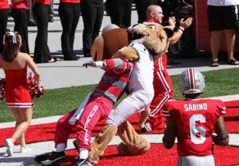 A Call for Change: Preventing Mascot Attacks in Sporting Events